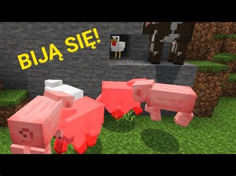 Zwierzęta zabijają wszystko co się rusza w Minecraft YouTube