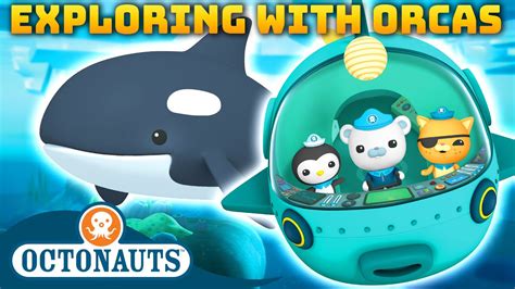 Octonauts Exploring With Orcas 70 Mins Compilation