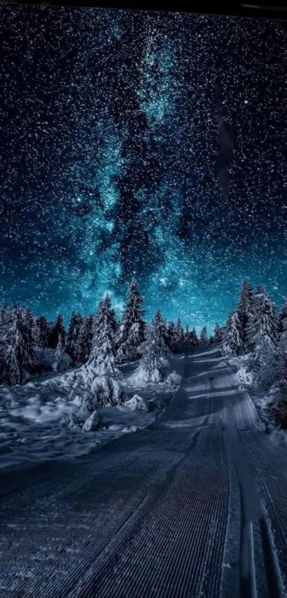 Starry Winter Night Wallpaper - free download