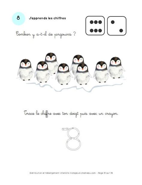 Les Animaux Du Froid Maternelle Fichier De 78 Pages