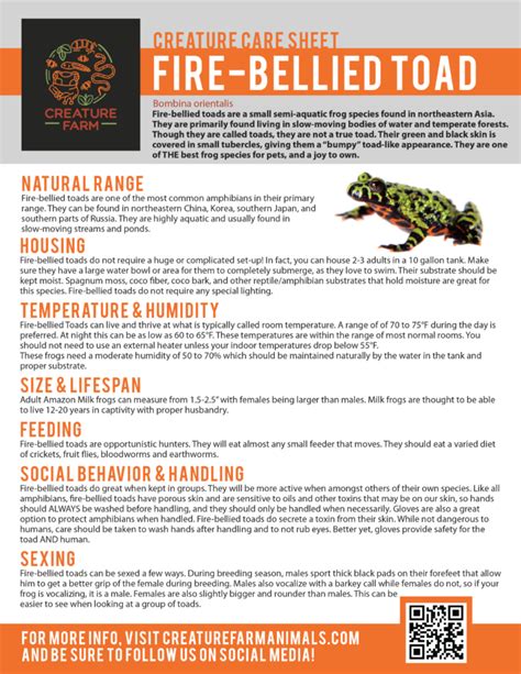 Fire Bellied Toad Care Creature Farm