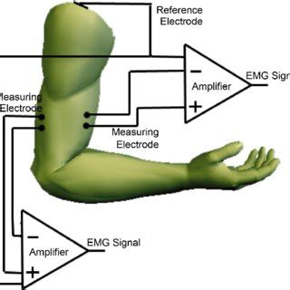 EMG sensor configuration. | Download Scientific Diagram