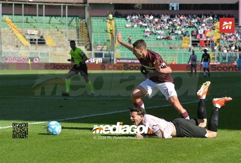 FOTO Palermo Reggiana 35ª giornata Serie B 2023 2024 GALLERY Mediagol