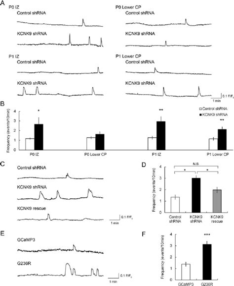 Spontaneous Calcium Transients In Migrating Neurons A Representative Download Scientific