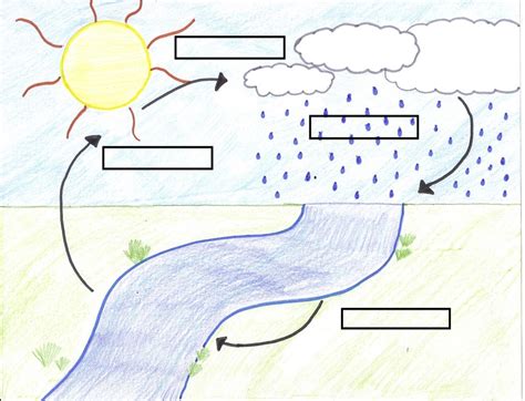 Water Cycle Diagrams For Students Water Cycle Diagram Im