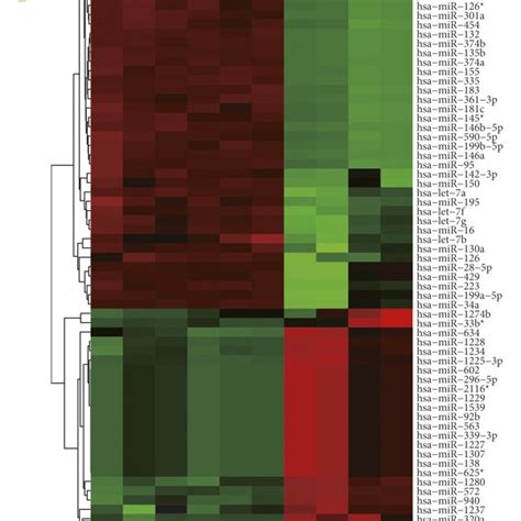 Screening Of Target Genes A Venn Diagram Of Targetscan Mirtarbase