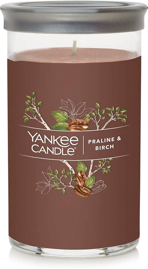 Amazon Yankee Candle Praline Birch Signature Medium Pillar