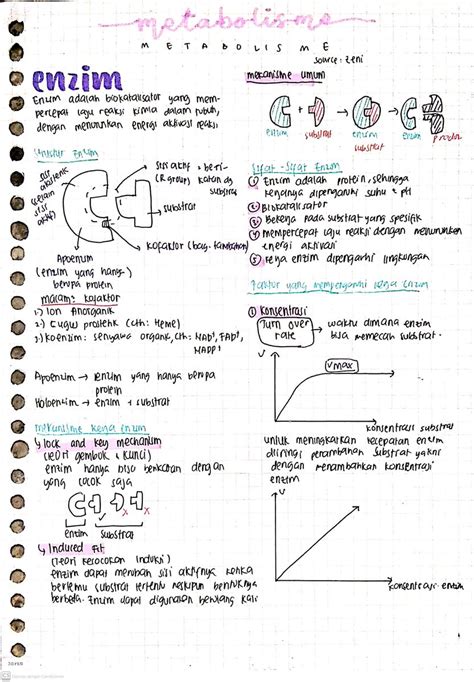 Bila On Twitter Materi Biologi Kelas