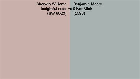 Sherwin Williams Insightful Rose Sw 6023 Vs Benjamin Moore Silver