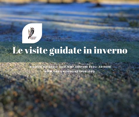 Le Visite Guidate In Inverno Riserva Naturale Oasi Wwf Cratere Degli