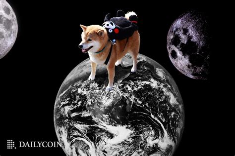 Shiba Inus SHIB Journey In 2022 Great Expectations DailyCoin