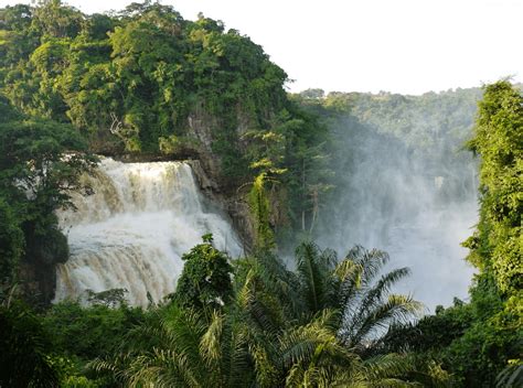 Seli Safari Resort Zongo KINO CONGO