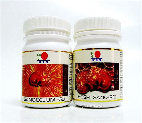 Dxn Reishi Gano Rg Ganocelium Gl Capsules Ganoderma Lingzhi