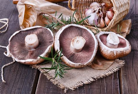 Best Shiitake Mushroom Substitutes For Cooking Tastylicious