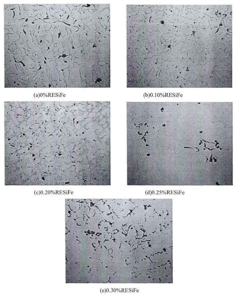 Comparison Of Graphite Morphology Of Gray Cast Iron Zhy Casting