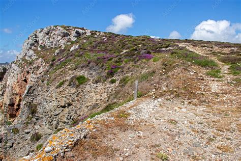 Sentier C Tier La Pointe De Dinan Sur La Presqu Le De Crozon