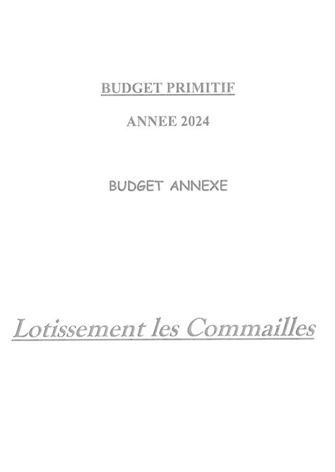 Calam O Budget Primitif Budgets Annexes