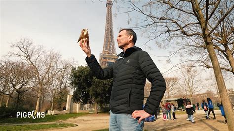 La Pub Mensong Re Du R Gime Comme Jaime Et Un Pigeon Dor Pour