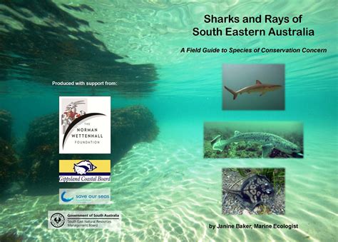 Shark And Rays Of South Eastern Australia A Field Guide To Species Of