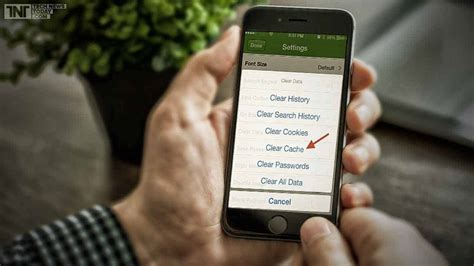 Borrar Caché En Tu IPhone O IPad De Apple Así Es Como Se Hace