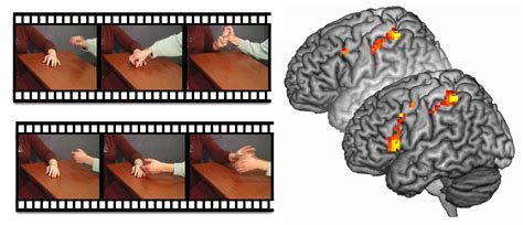 Can A Psychopath Have Empathy? | SiOWfa15: Science in Our World ...