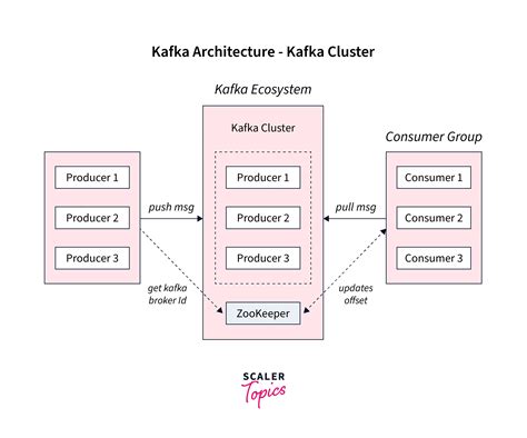 Brokers, Producers, Consumers, and Zookeeper - Scaler Topics