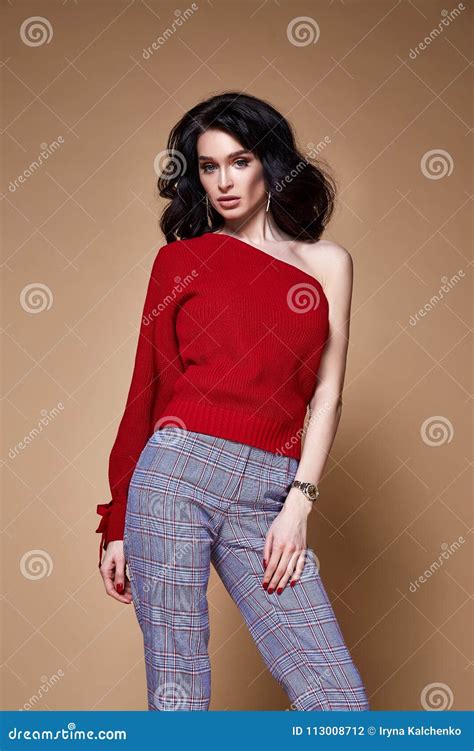 Portrait Of Brunette Woman Beautiful Face Pretty Lady Long Stock Photo Image Of Brunette