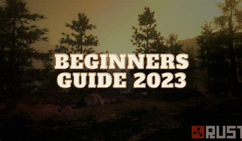 Rust Beginner Guide