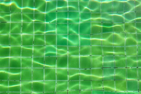 The Ultimate Guide To Reviving Your Green Pool A Step By Step Manual