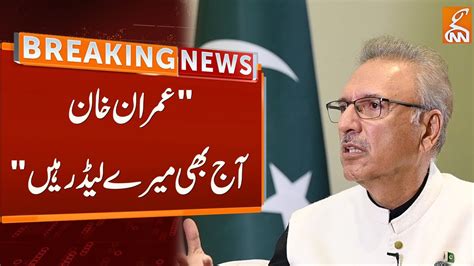 President Arif Alvi Big Statement For Imran Khan Breaking News GNN