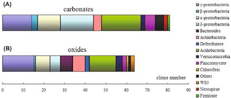 Bacterial Community Structures In The Semi Consolidated Carbonate