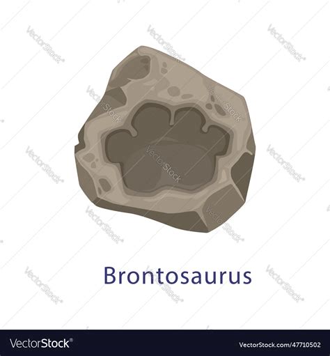 Ancient Dinosaur Footprint Brontosaurus Fossil Vector Image