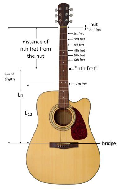 Fret Calculator