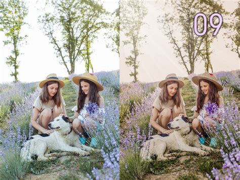 Lavender Preset And Overlay Lightroom Presets Lightroom Mobil