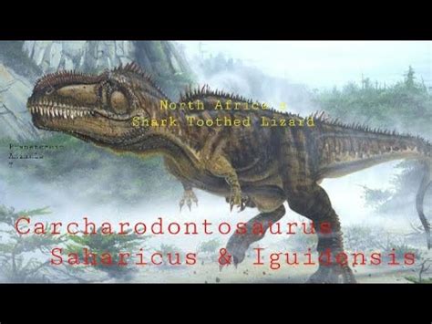 Carcharodontosaurus North Africa S Shark Toothed Lizard Revised