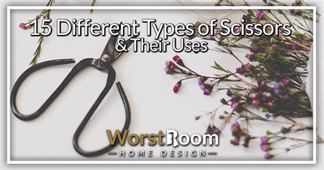 15 Different Types of Scissors & Their Uses - Worst Room