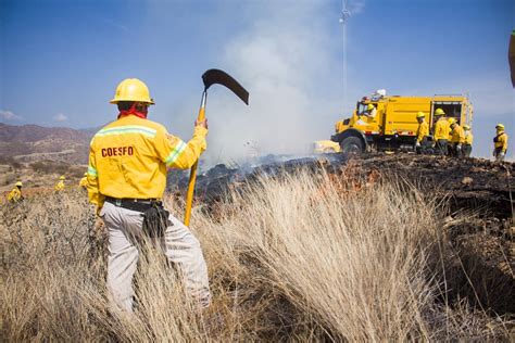 Combatientes De Incendios Forestales Héroes Protectores De Los Bosques De Oaxaca