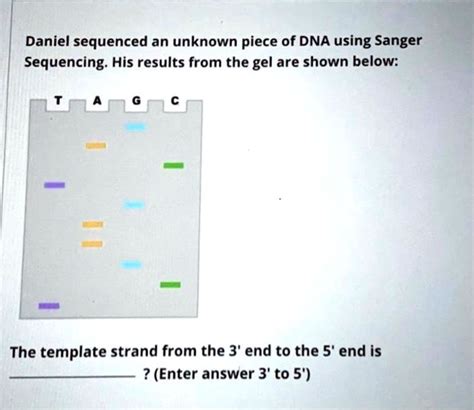 Solved Daniel Sequenced An Unknown Piece Of Dna Using Sanger