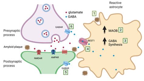 Ijms Special Issue Astrocytes Emerging Roles In The Pathogenesis