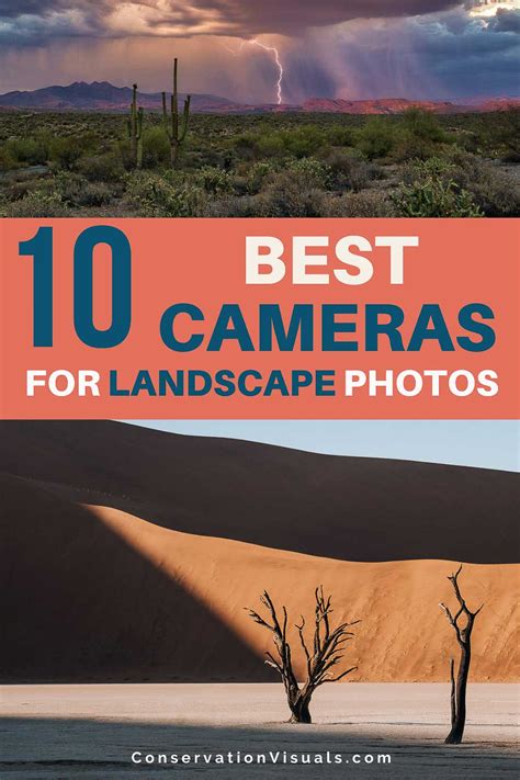 Best Cameras For Landscape Photography