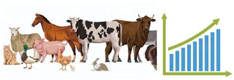 Livestock Production Statistics of India – 2020 - Vet Extension