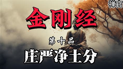 金刚经解读第10品庄严净土分于意云何如来昔在燃灯佛所于法有所得不禅官 YouTube