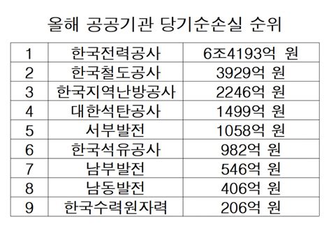 한전ㆍ코레일 등 재무위험 공공기관 9곳 올해 적자 7조 육박 이투데이