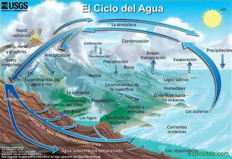 Qué Es El Ciclo Del Agua Sus 7 Fases Esquema Y Explicación