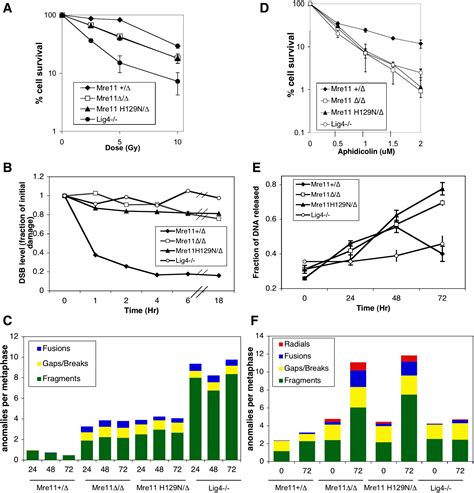 Mre11 Nuclease Activity Has Essential Roles In DNA Repair And Genomic