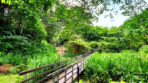 嶄新開啟，土城後花園秘境，五星級的原住民族生態公園 健行筆記