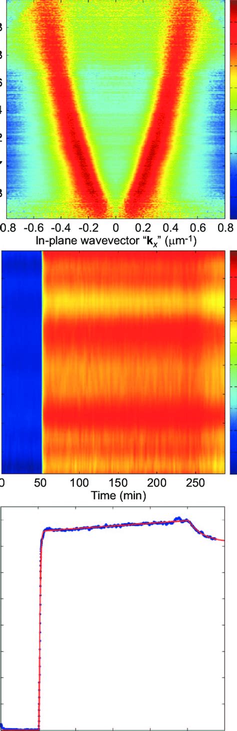 Conic Measurement Of Bsa Physisorption On The Qw Spr Device A The Download Scientific