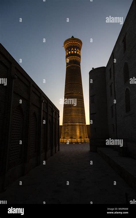 The Kalyon Minar Or Great Minaret In The Poi Kalyon Square In Bukhara