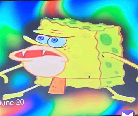 Spongebob Meme Wallpapers Top Free Spongebob Meme 45 Off