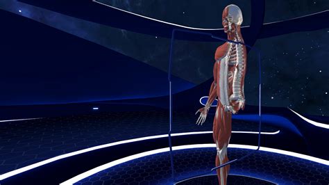 Human Anatomy Vr No Ps Playstationstore Oficial Brasil